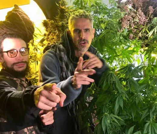 Los Cafres plantean el uso medicinal del cannabis en su nuevo video La Flor.
